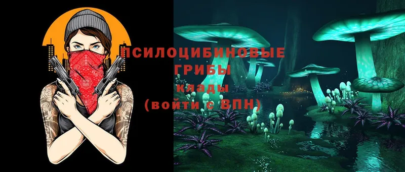 Псилоцибиновые грибы Cubensis  Ковылкино 